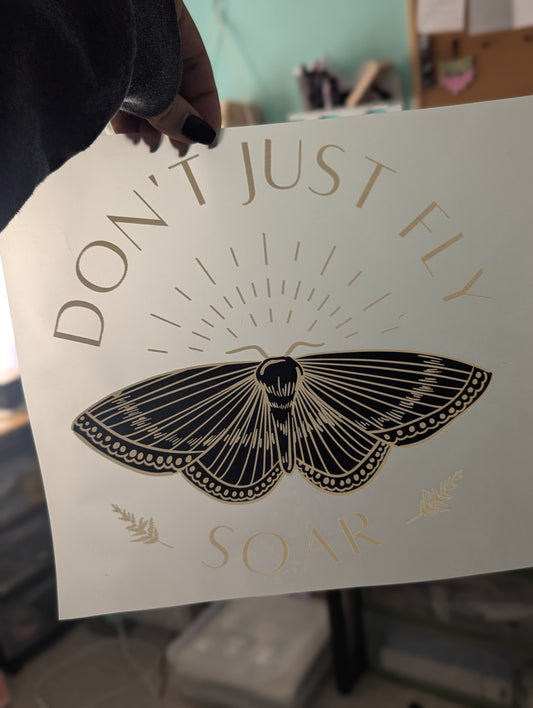DTF - DON'T JUST FLY SOAR