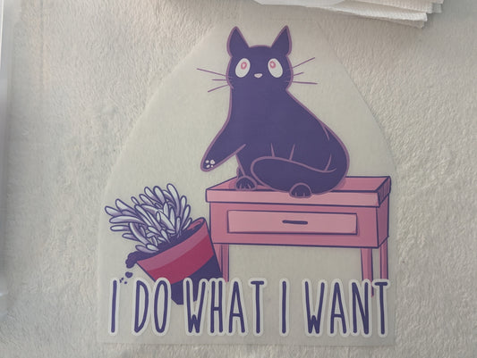 DTF - I DO WHAT I WANT