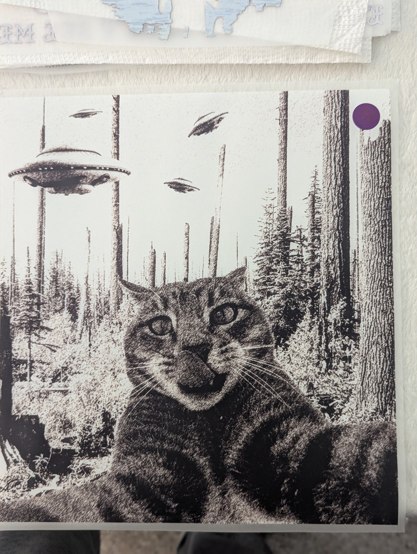 DTF - CAT SELFIE
