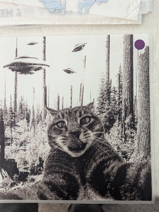 DTF - CAT SELFIE