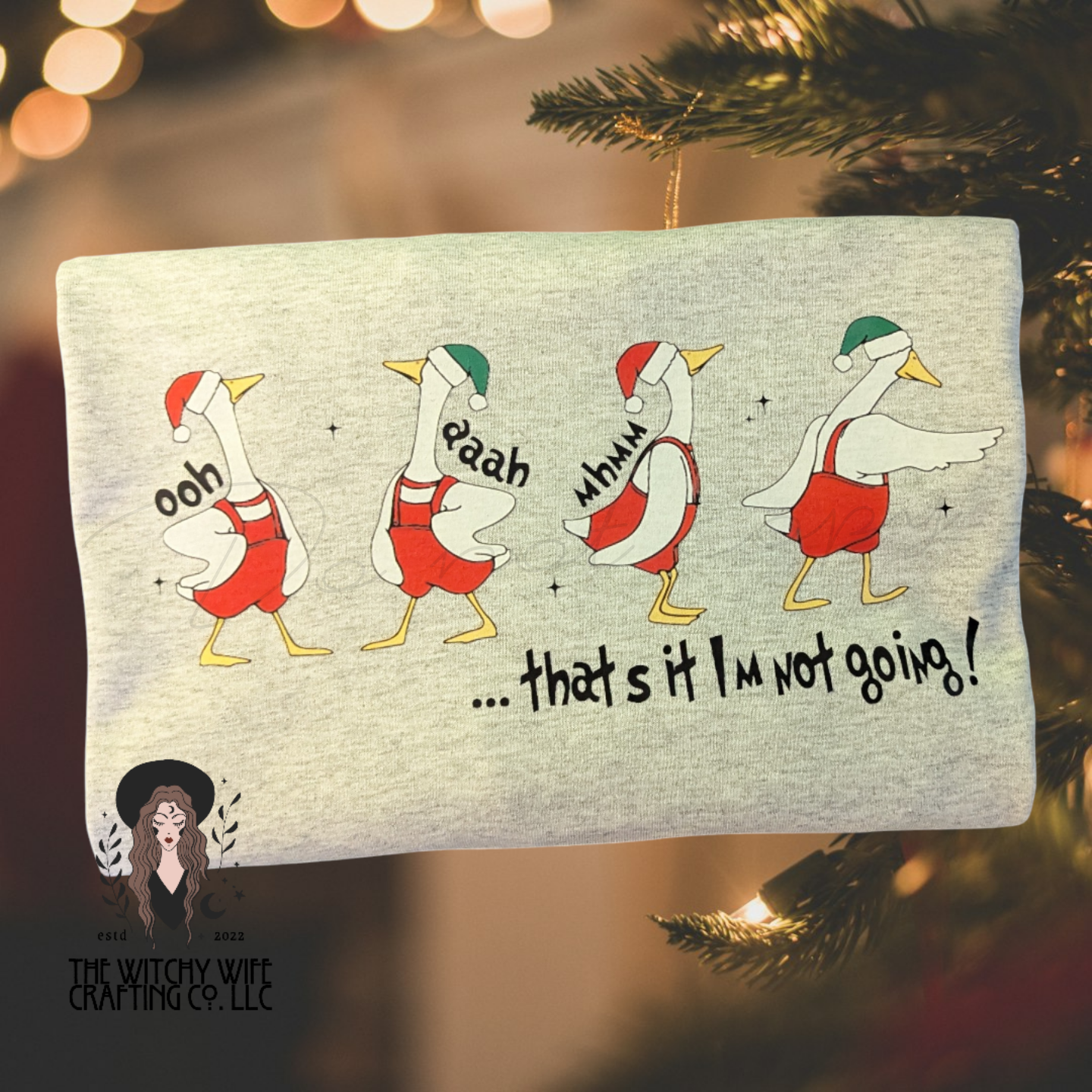 SILLY GOOSE I'M NOT GOING