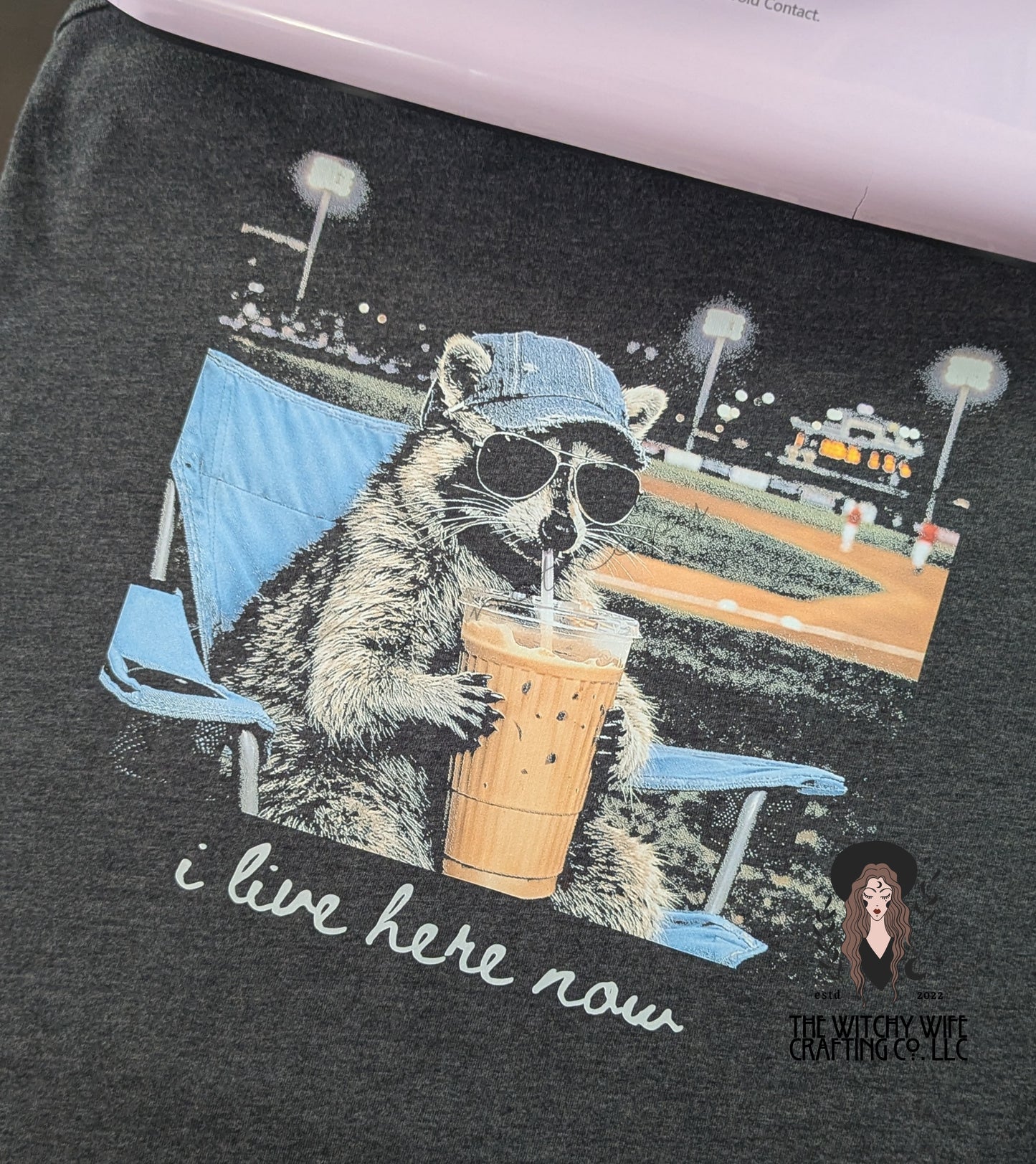 I LIVE HERE NOW - RACCOON BASEBALL