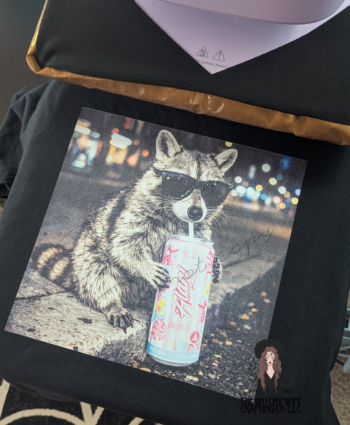 RACCOON & AL.N