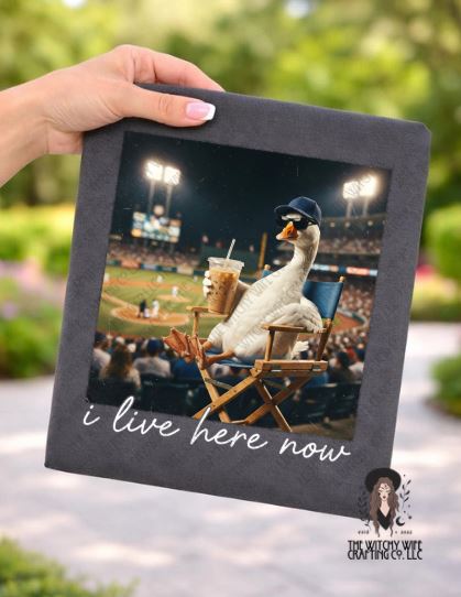 I LIVE HERE NOW - GOOSE BASEBALL