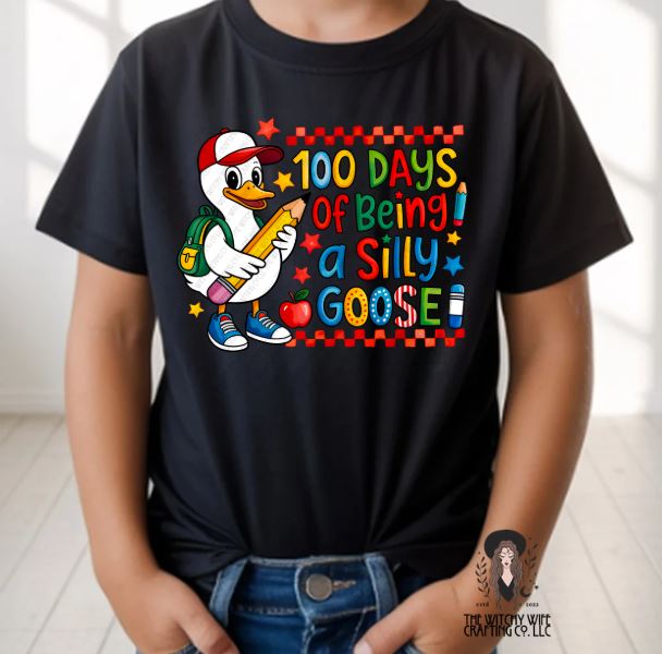 100 DAYS - SILLY GOOSE BOY