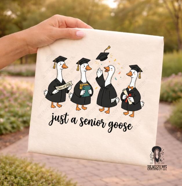 JUST A SENIOR GOOSE 26