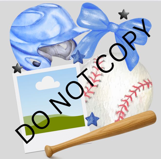 BASEBALL PICTURE INSERT
