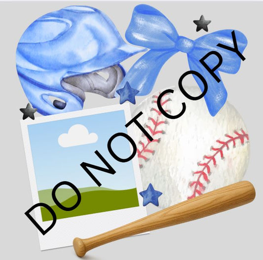 BASEBALL PICTURE INSERT