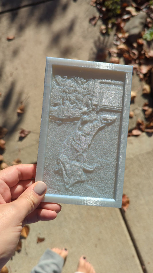 3D Printed pictures